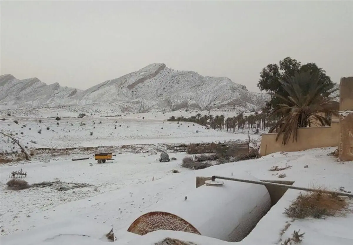 برف در ارتفاعات دشتستان به ۲۰ سانتی‌متر رسید