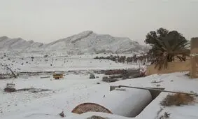 برف در ارتفاعات دشتستان به ۲۰ سانتی‌متر رسید