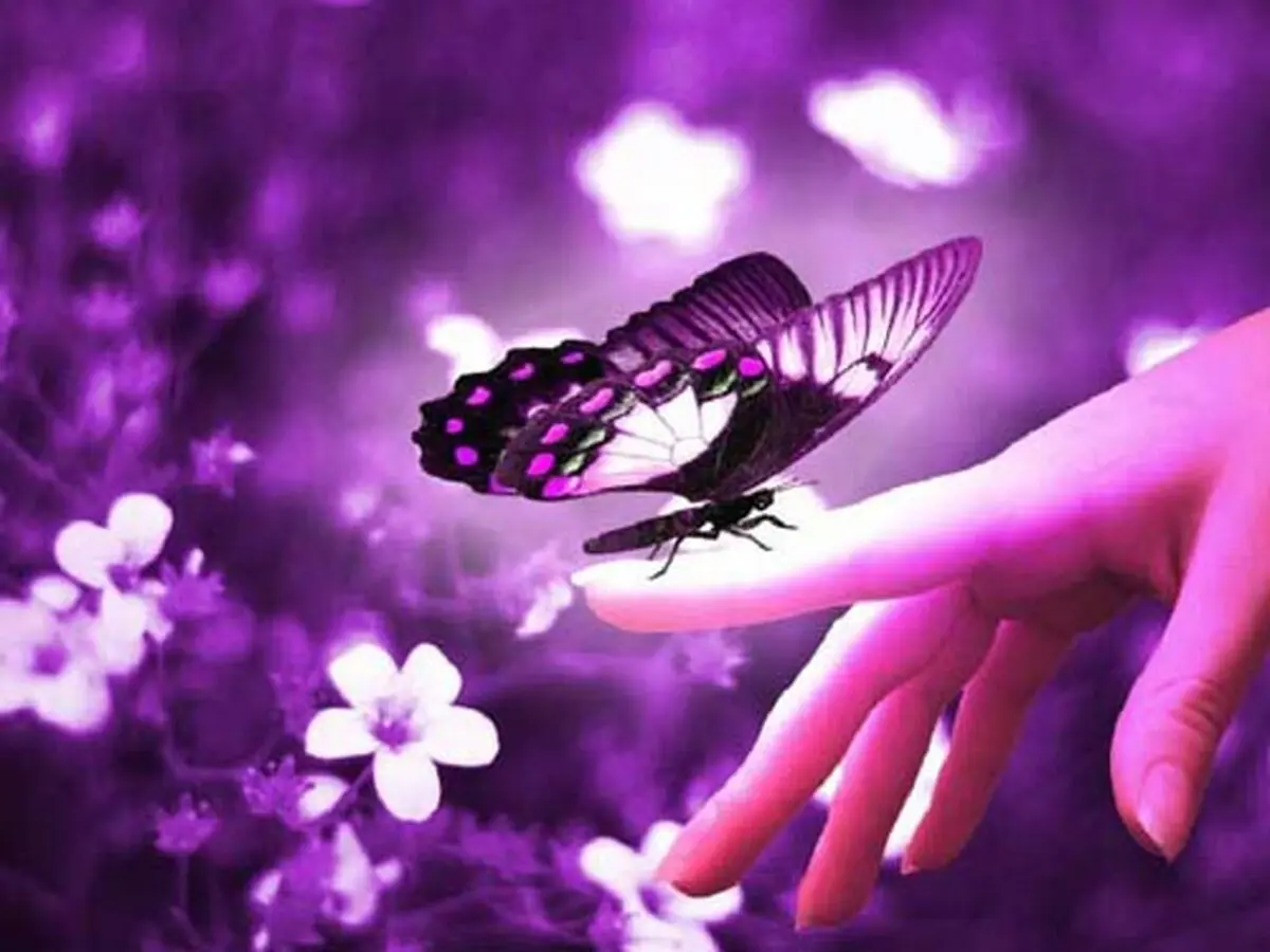 صوت/ قطعه ای بی کلام و گوش نواز