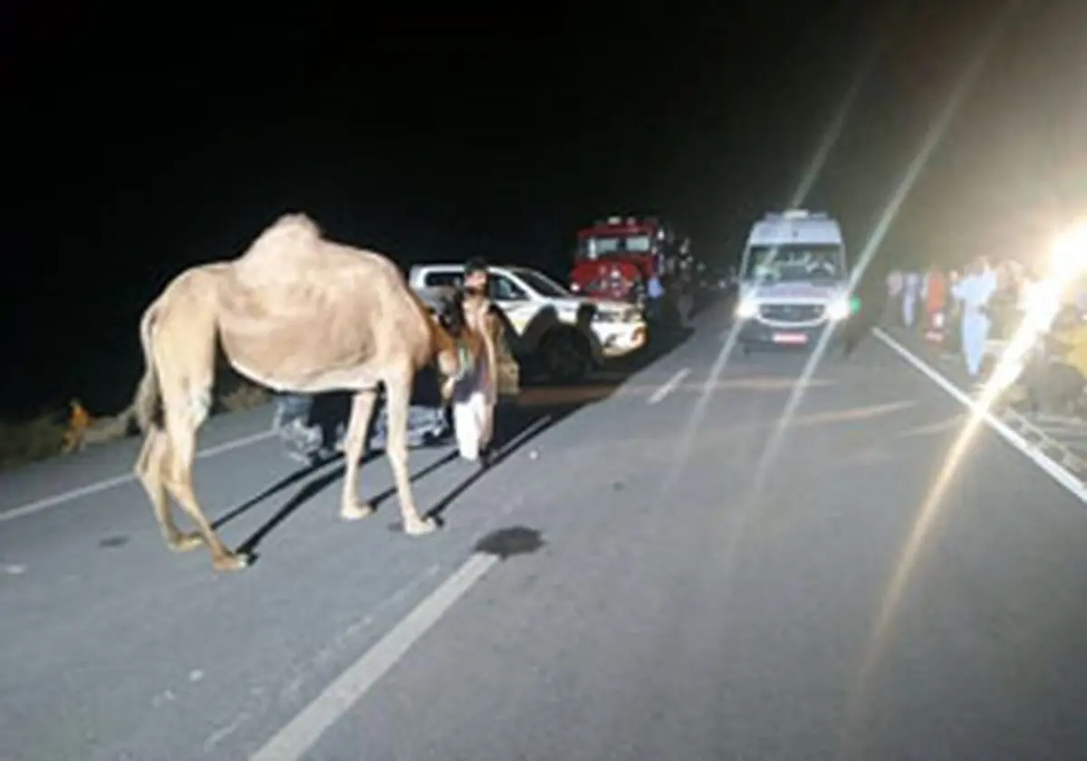 تصادف در جنوب سیستان و بلوچستان جان هشت نفر را گرفت