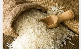 توزیع 10 هزار تن برنج وارداتی تا 15 آذر؛ قیمت ها کاهش یاقت