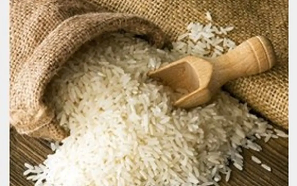 توزیع 10 هزار تن برنج وارداتی تا 15 آذر؛ قیمت ها کاهش یاقت