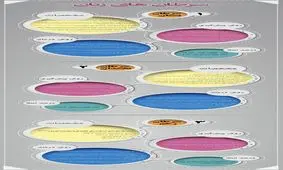 سرطان‌های شایع در زنان را بشناسید