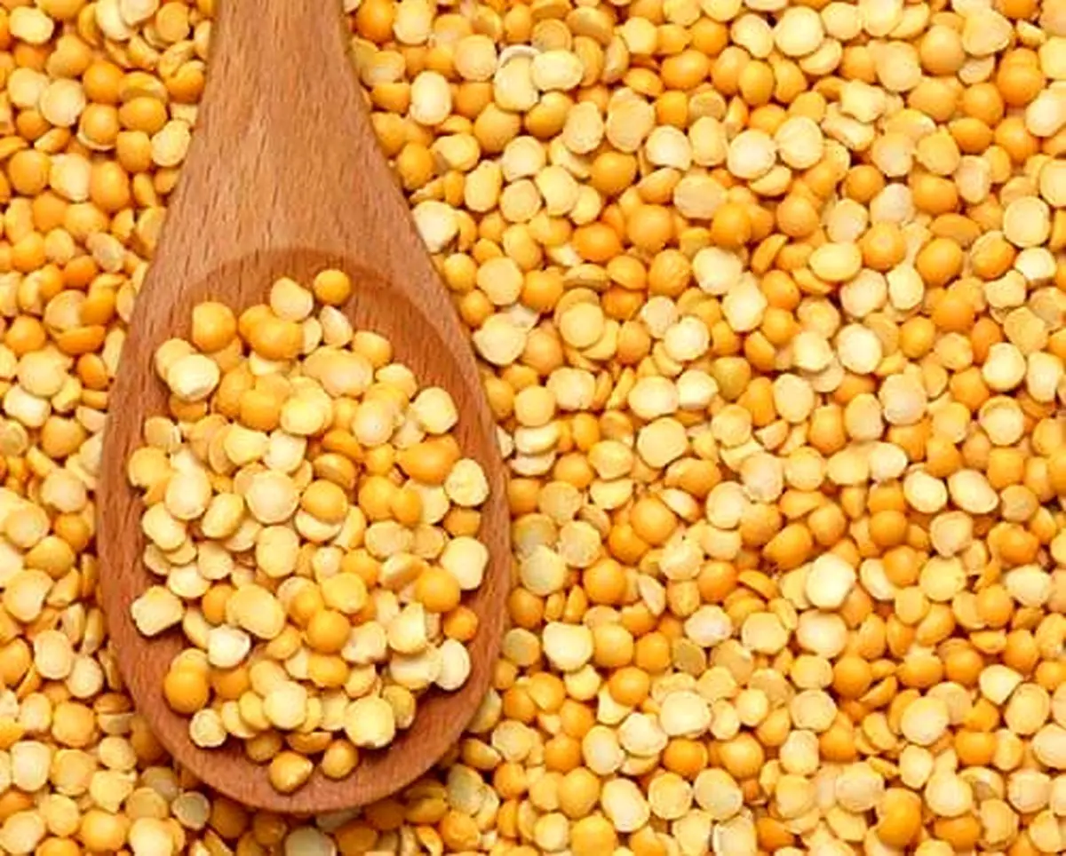 قیمت انواع لپه بسته بندی در بازار