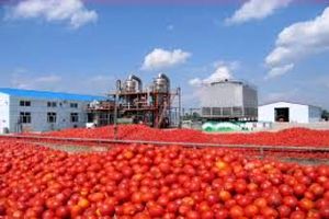 رب گوجه فرنگی گرانترین کالای مصرف شده در ماه آبان