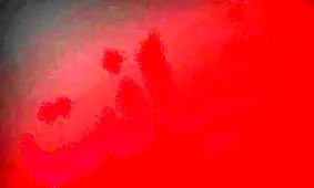 پسرم به خاطر ارتباط مادرش با غریبه ها خودکشی کرد