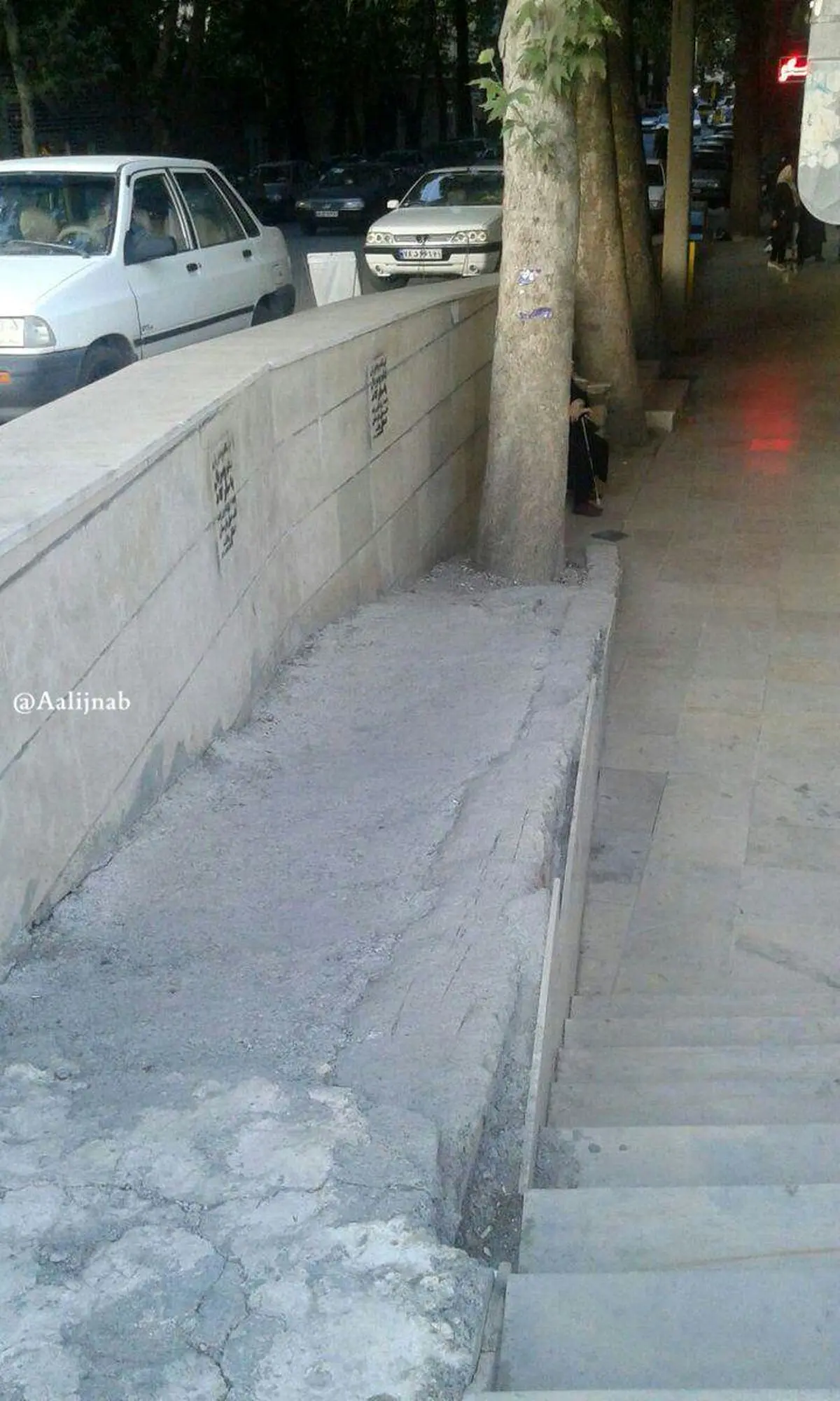 روز جهانی معلولین در ایران