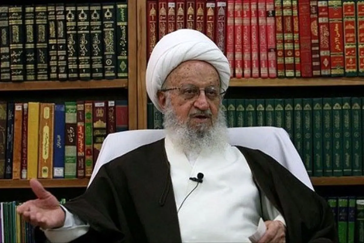 آیت‌الله مکارم شیرازی: جامعه‌ای که در آن عده‌ای به دنبال پر کردن کیسه خود هستند، وحشی می‌شود/برخی کسبه وقتی دلار پایین می آید هم اجناس را گران می کنند