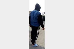 «مرتضی چهار شونه» در دام پلیس البرز