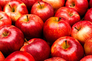 هشدار نسبت به احتمال افزایش قیمت سیب