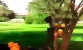 تفریح اراذل واوباش با آتش زدن مردم + فیلم