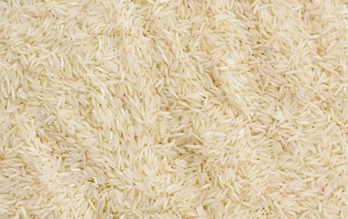 آیا برنج ارزان شد؟