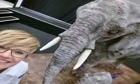 گول این کیک‌ها را نخورید!