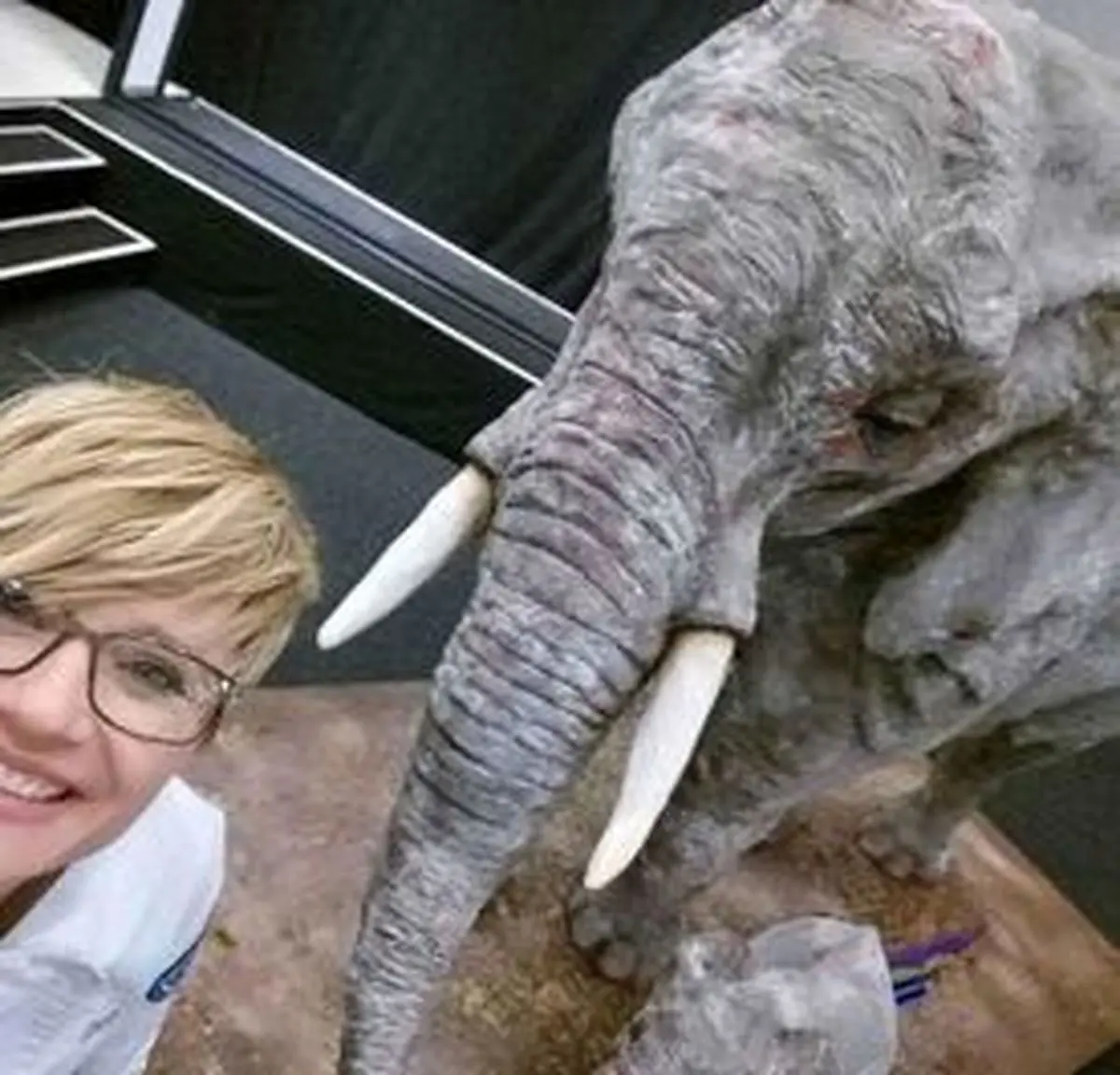 گول این کیک‌ها را نخورید!