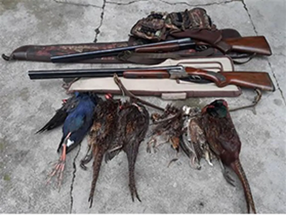 توقیف یک دستگاه خودرو و ادوات شکار در انزلی