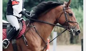 سوارکاری ایمن با پوتین هوشمند