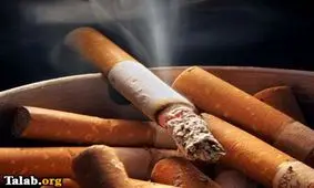 عکس/ تبلیغ مبارزه با مصرف الکل و استعمال دخانیات