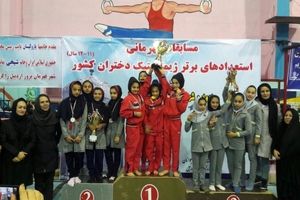 عنوان سوم ورزشکار فارس در المپیاد ژیمناستیک استعداد‌های برتر