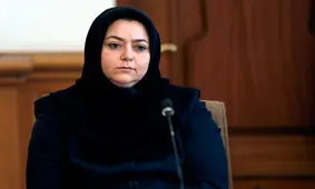 مدیرعامل هما:برای عبور از تحریم اختیار ویژه می خواهیم