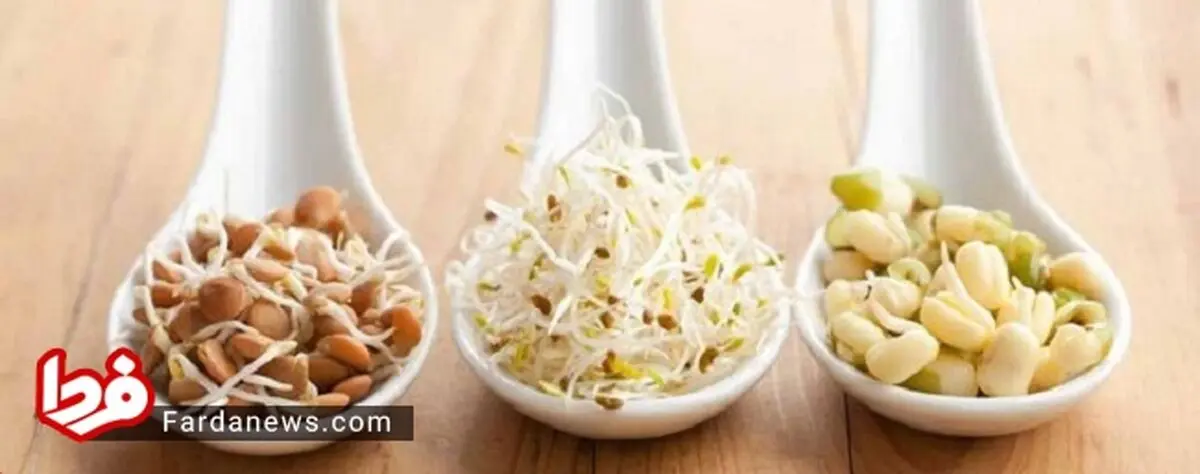فواید غلات و حبوبات برای سلامتی