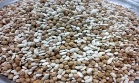 قیمت انواع مختلف حبوبات در بازار