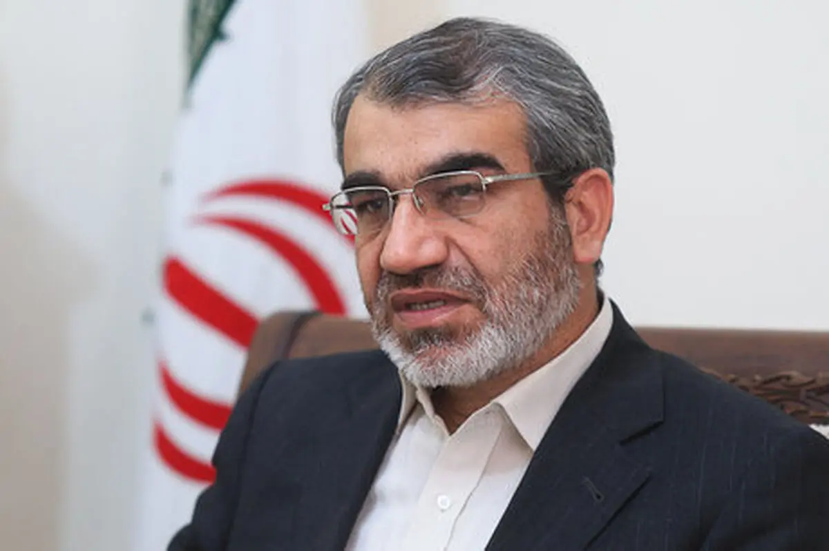 پاسخ کنایه ای و توییتری کدخدایی به ادعای محمود صادقی علیه شورای نگهبان