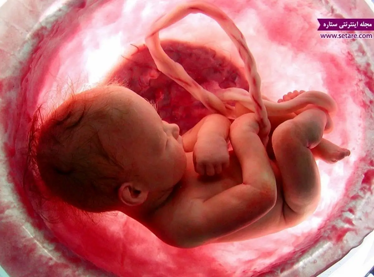 آیا رابطه جنسی در دوران بارداری مضر است؟