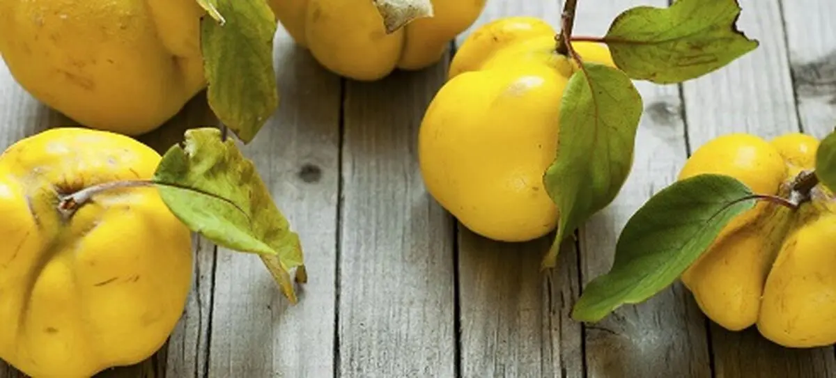 میوه ای شادی آور و مفرح پاییزی و خواص آن برای سلامت