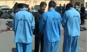 باند سرقت ۱۶۱ راس دام در استان سمنان متلاشی شد