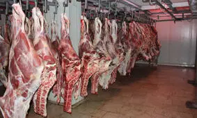 کمبود دام زنده در میادین/ قیمت هر کیلو شقه گوسفندی ۷۰ هزار تومان