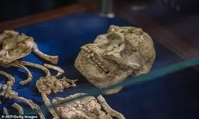کشف اسکلت گونه ی متفاوتی از انسان + عکس