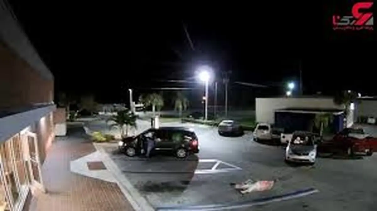 سانحه برای زنی که قصد داشت جلوی سارق حرفه ای را بگیرد +فیلم