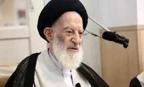 آیت الله شبیری زنجانی: ورود طلاب به فعالیت‌های سیاسی یکی از عوامل مهم کم شدن محبوبیت آنان است