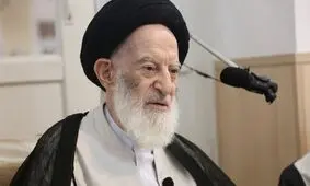 آیت الله شبیری زنجانی: ورود طلاب به فعالیت‌های سیاسی یکی از عوامل مهم کم شدن محبوبیت آنان است