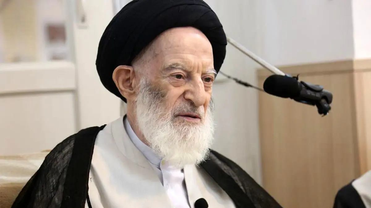 آیت الله شبیری زنجانی: ورود طلاب به فعالیت‌های سیاسی یکی از عوامل مهم کم شدن محبوبیت آنان است