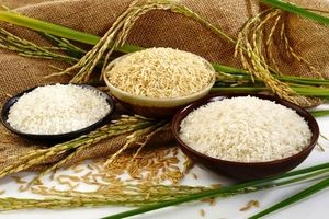 برنج تقلبی چیست و چگونه آن را تشخیص بدهیم؟!
