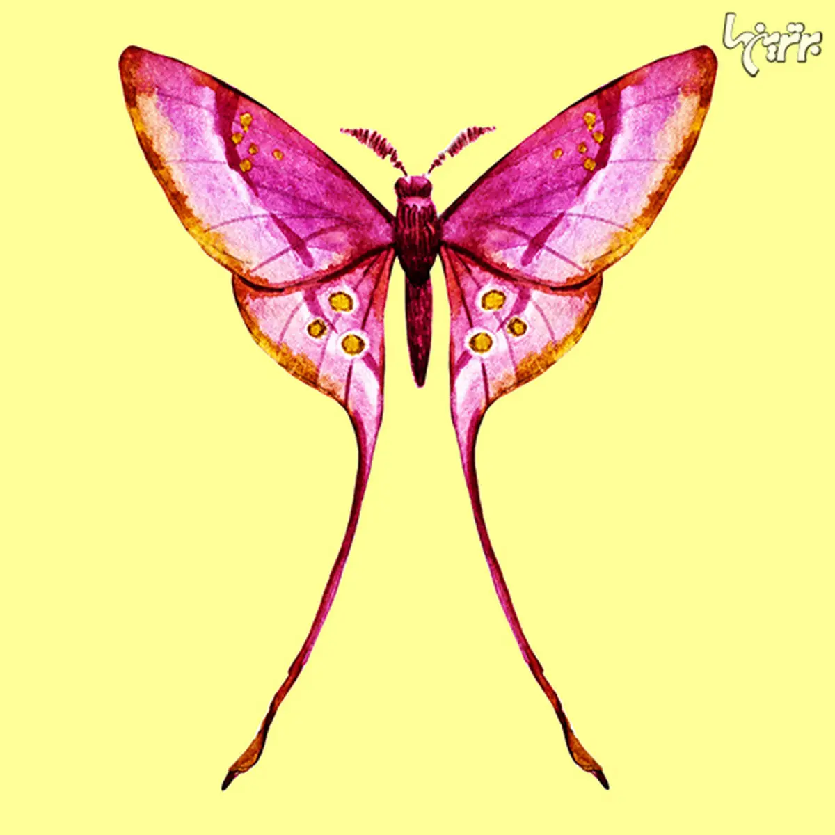 شخصیت خود را با این تست ساده روانشناسی تشخیص دهید+ تصاویر