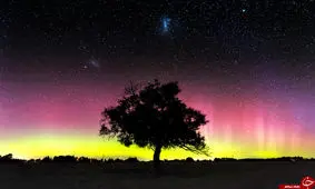 شفق قطبی و نحوه تشکیل آن/ همه چیز درباره زیباترین پدیده طبیعی!