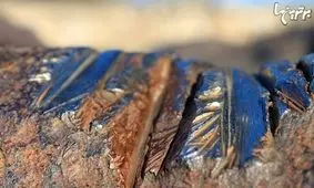 بزرگترین شهاب سنگ روی کره زمین