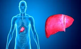 ۶ توصیه برای پاکسازی کبد