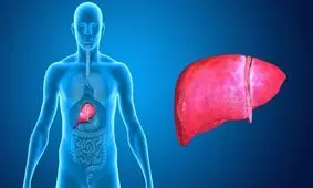 ۶ توصیه برای پاکسازی کبد
