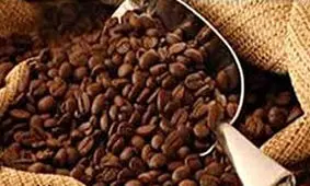 کشف محموله قهوه و ماشين حساب قاچاق در اصفهان