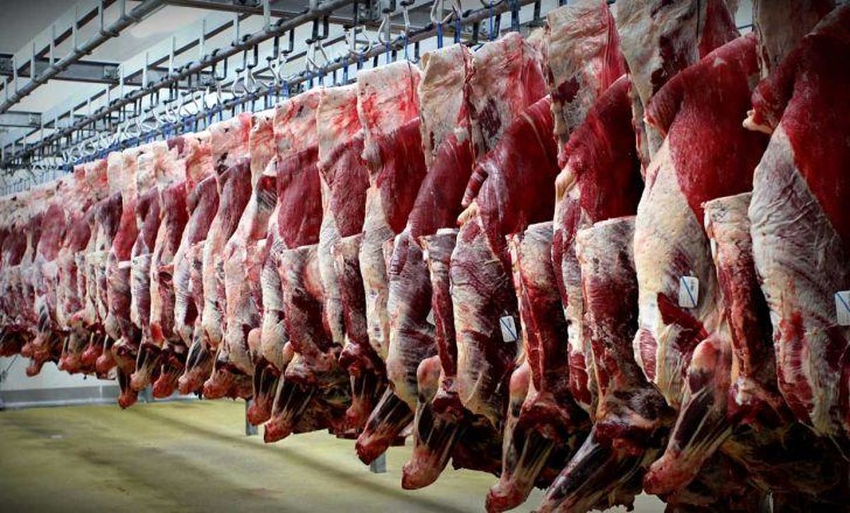 ۲ سال فاصله تا خودکفایی در تولید گوشت قرمز/۶۰ درصد واحدهای دامی تعطیل است