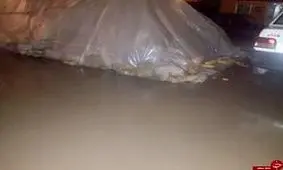 امداد رسانی به 179 خانوار زلزله زده/85مسافر در کولاک نجات یافتند