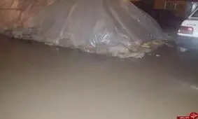 امداد رسانی به 179 خانوار زلزله زده/85مسافر در کولاک نجات یافتند