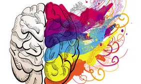 هوش اجتماعی چیست و چه اهمیتی دارد؟