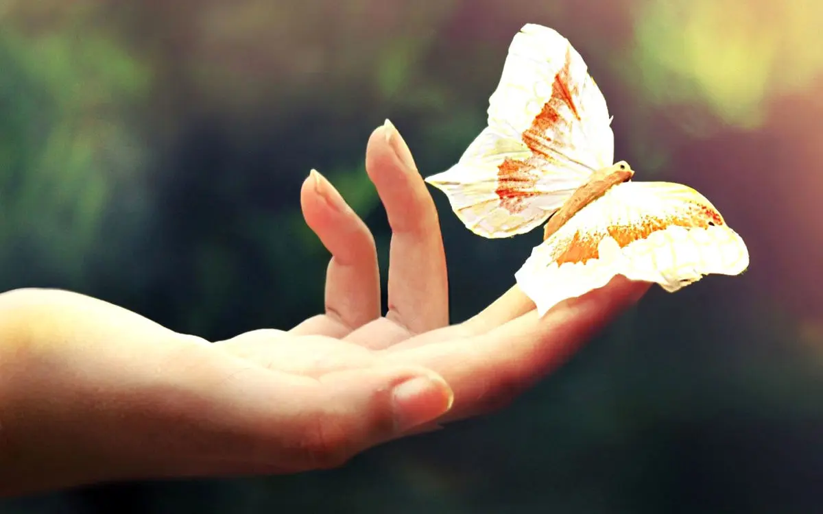 آهنگی زیبا با تکنوازی پیانو با نام "Timelapse"