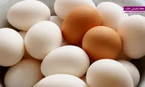 شرح معمای تخم مرغ