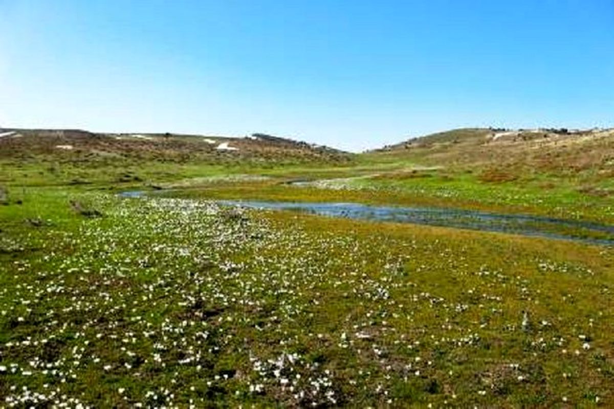 «گلیل» جواهری در مرز خراسان‌شمالی و ترکمنستان