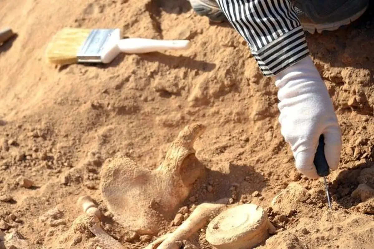 کشف آسیاب قدیمی در قروه